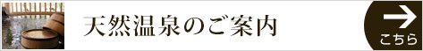 天然温泉のご案内